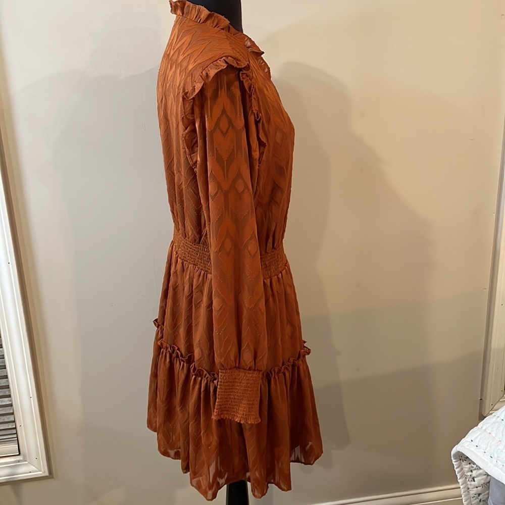 Vintage Style Ruffled Mini Dress - Picture 7 of 13